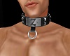 You Belong to {Z} collar