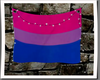 (S) Bisexual Flag