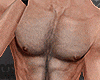 chest  Hair+Muscle