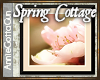 Cottage Floral Art