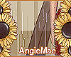 AM* Luci Cape