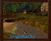 [D]Lodge Ducks w/snd