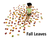 SC Scattered Fall Leaves