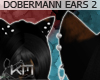 +KM+ Dobermann Ears 2