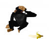 Gig-Cheek Chimp Animated