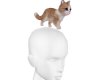 Ginger Kitty