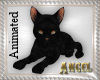 [AIB]Black Cat1