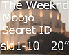 Secret ID Rmx