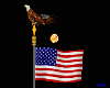 American Flag & Eagle