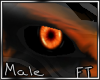 (M)Orng Eyes [FT]