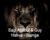 Sagi Abitbul & Guy Haliv