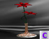 Red Flower/Vase 