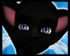 [M] Black Cat Fur