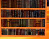 orange bookshelf