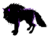 Black and Purple Wolf