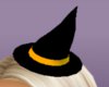 Orange Witch Hat