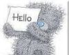 HELLO-Gray TeddyBear