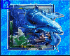 Dolphin _3