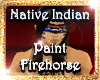 !(ALM)Native Indian face