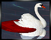 ~VALENTINE Swan/Animated