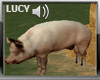 LC PIG FARM+SOUND
