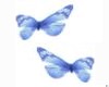 7 BLue Butterflies FLyin