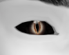 Demon Brown Eyes