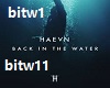 Back In The Water (haevn