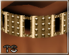 *TS* ANTS CHOKER