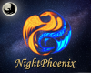 NP*Dragon and Phoenix