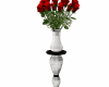 Roses on display v3