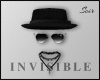 INVISABLE M & F AVATAR