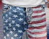 β. USA Flag Jeans