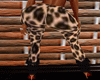 Ressy Cheetah Pants