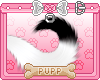 🐾 White Tail Pup v.2