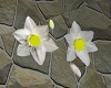 Easter Lilies Marker
