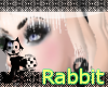 (*Rabbits*)SamiraSoft