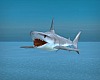 Mako Shark