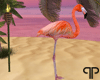 🤍P Flamingo Stand