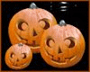 3 Pumpkin- 3 calabazas