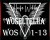 Haifa Wehbe-Woseltelha