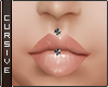 |C| Upper lip Bar
