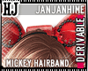 ! # Mickeyhairband [HJ]