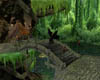 Forest of Life