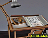 Drafting Table