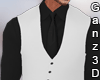 Elegant Vest Suit White