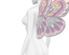 Pastel butterfly wings 2