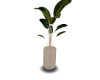 Cream Vase