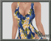 Cia Summer Gown V6
