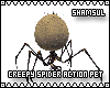 Creepy Spider Action Pet
